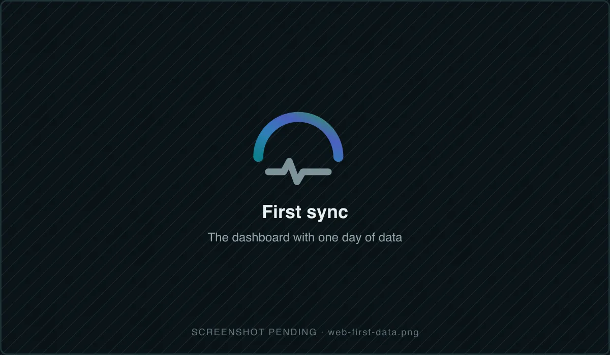 Web dashboard showing the first synced day